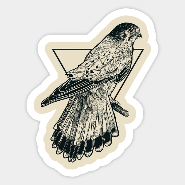 Sparrow Hawk Sticker by Alpine